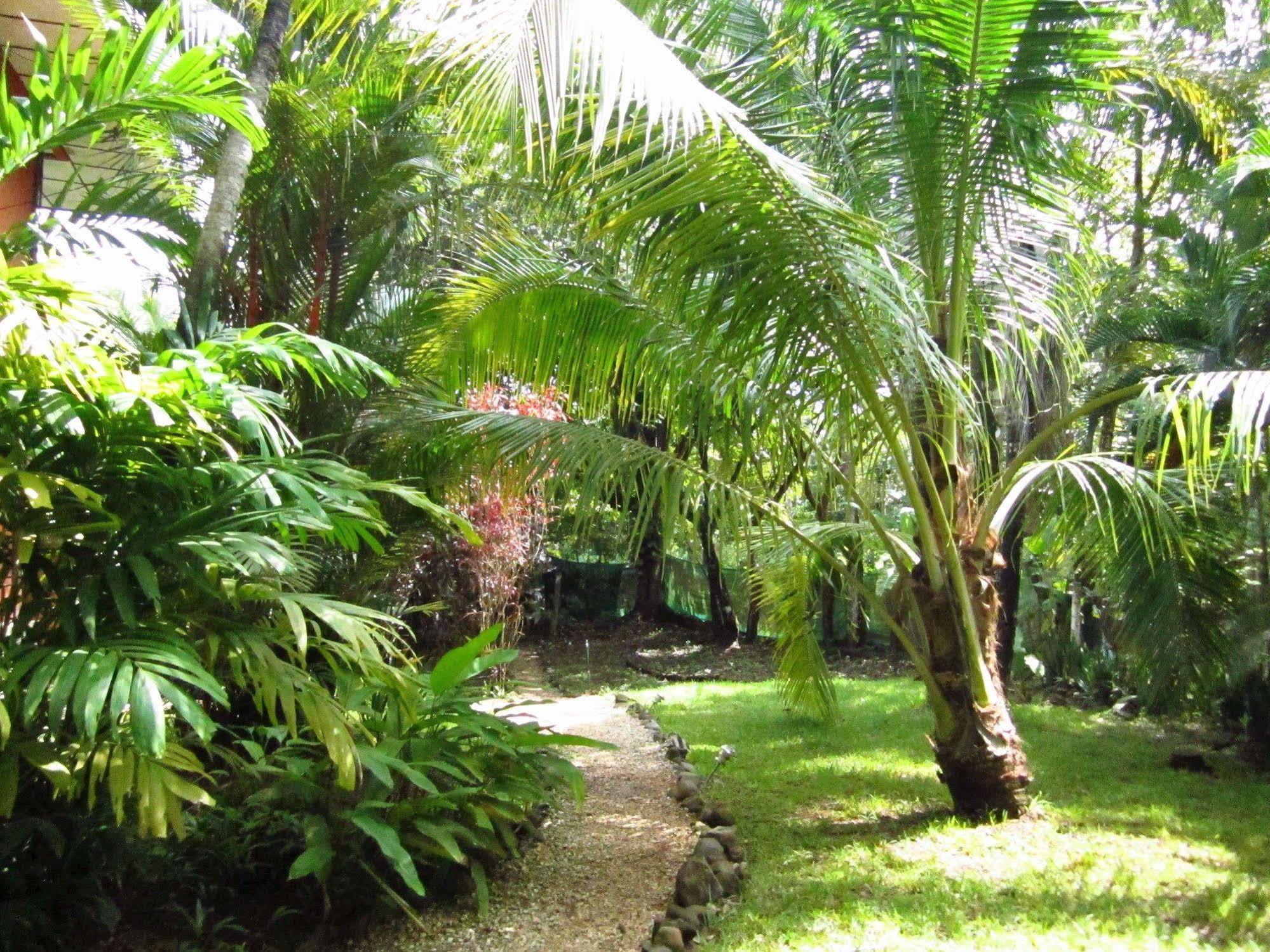 El Mariposario Montezuma Gardens Bed and Breakfast Exterior foto